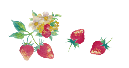 草莓/维他命C/为了美肌的身体护理/食物也能防晒